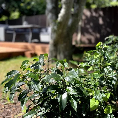 An Teach Ban, Homely Townhouse Prázdninový dům Dungarvan (Waterford)