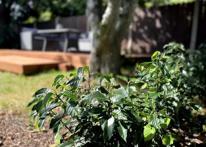 An Teach Ban, Homely Townhouse Ferienhaus Dungarvan (Waterford)